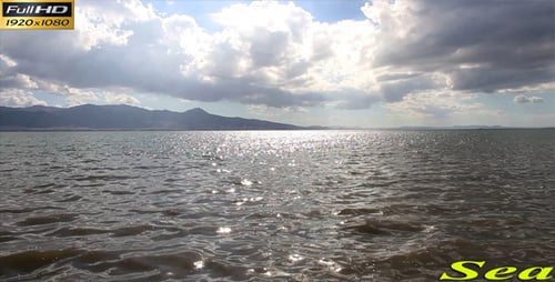 Meer