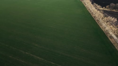 Aerial Drone Top View Flight Over Ground Land Road and Green Field