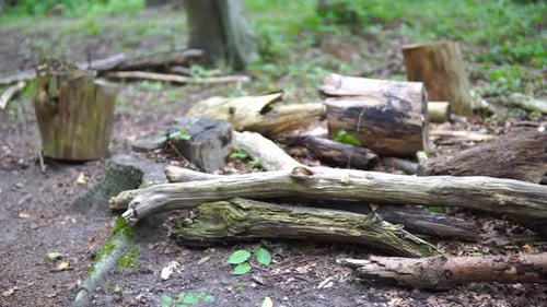 Panoramique à droite sur une pile de bois mort sec pourri sur le sol dans la forêt non foulée, branche d'arbre morte