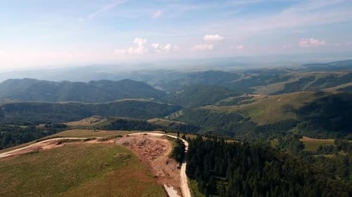 Mountain Valley Pinienwald