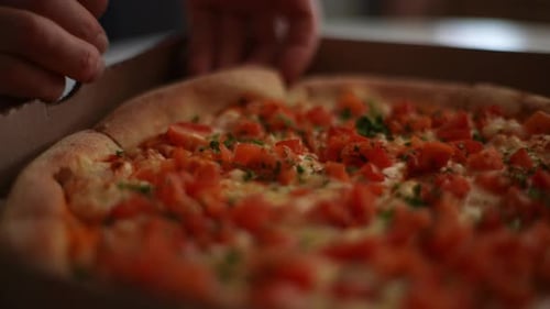 Delicious Pizza With Tomatoes Being Served