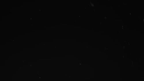 Dust Particle