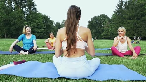 Group of senior doing training at the park