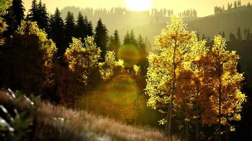 Bright Sunset in the Mountains