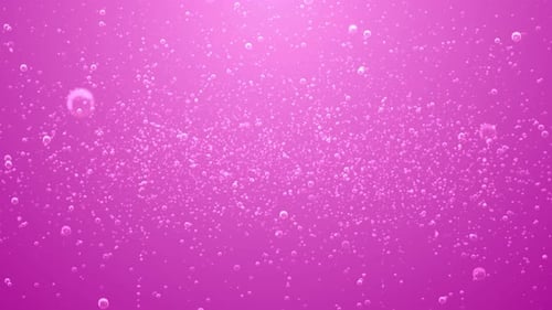 Sparse Pink Soda Bubbles Background with Loop
