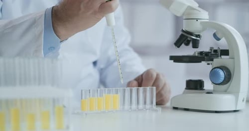 Male Research Scientist. He Sitting in a High-End Modern Laboratory with Beakers, Glassware