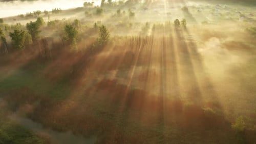 Beautiful Misty Dawn in the Spring on the River