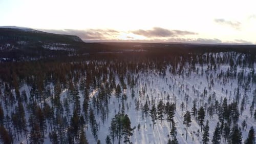 Aerial Nordic Winter Landscape Flight Over Snow Mountain Forest on Sunset