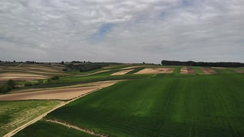 Aerial View of Green Fields in the Countryside