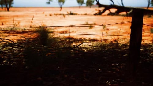 Barbed Wire Fence in Arid Outback Landscape