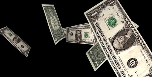 1 Dollar Banknotes Loop