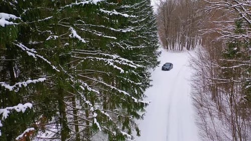 Snowy forest with car on road. Aerial view of car on winter road in the forest