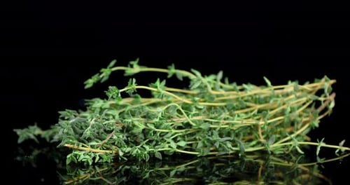 Le
bouquet de thym frais tourne lentement.