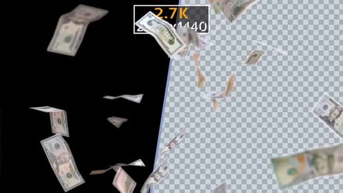 Dollars (2.7K)