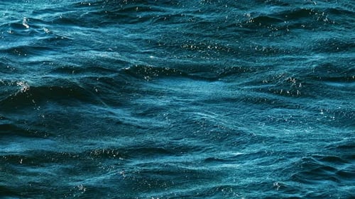 Ocean (4K)