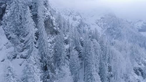 Snow Covered Mountains and Trees in Winter