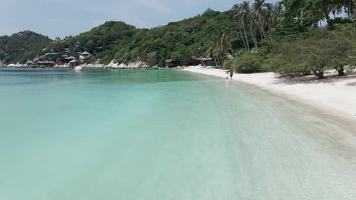 An Drone Shot of a Beautiful Beach Where a Happy Romantic Middle Aged Couple Enjoying Walk on the