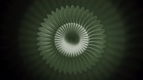 The spring, which is twisted like a flower, moves, spins and expands