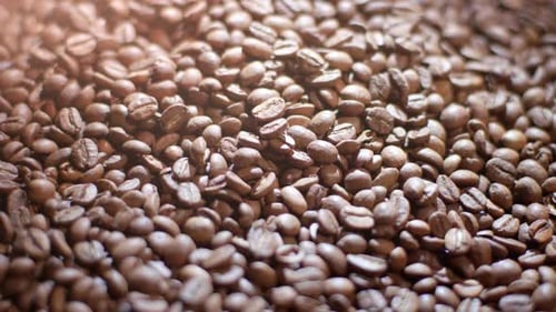 Roasted Coffee Beans Close-Up