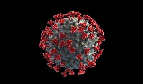 Realistic 3D Coronavirus Cell Animation