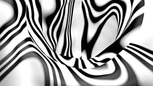 Dynamic Abstract Black and White Fluid Stripes Background