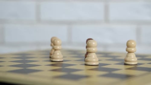 Kräfte auf dem Schachbrett
