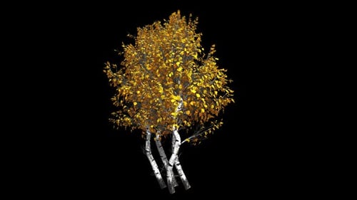 Animated Autumn Birch Tree with Golden Leaves Swaying