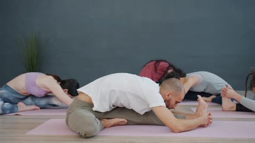 Flexible Girls and Guy in Sportswear Enjoying Yoga Practice in Cozy Room in Sports Center