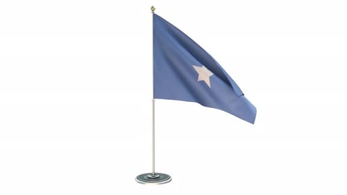 Waving Blue Flag with White Star on Pole Animation