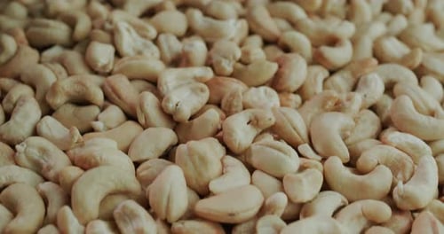 Slider Shot Selected Cashew Nut Delicious and Healthy Food