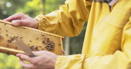 Ein Imker in gelber Schutzkleidung verbringt einen Nachmittag auf der Wiese des Bienenhauses