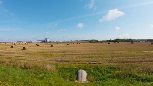 Field with haystacks, steadicam shooting