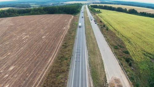 Cars Drive on One Lane of Long Road Stretching Between Trees