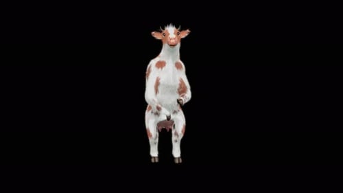 3D Animated Dancing Cow Loop