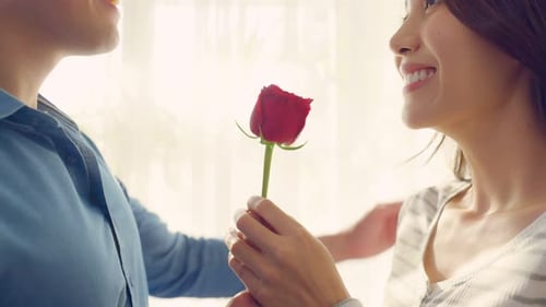 Loving Couple Celebrates with a Red Rose