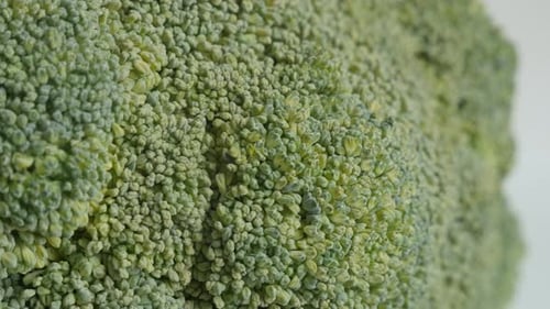 Extreme Close Up of Green Broccoli Head