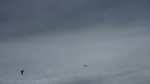 Airplane Flies Across a Cloudy Sky