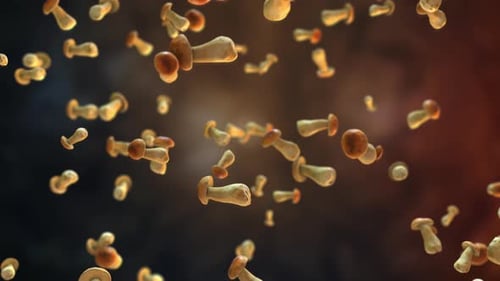 Floating Microscopic Organisms Animation for Science and Medical Projects