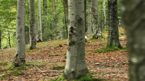 Casal conhece a nova área