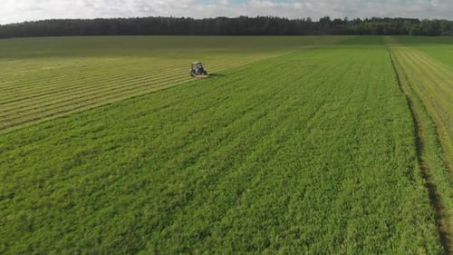 Un tracteur tond le gazon sur le terrain