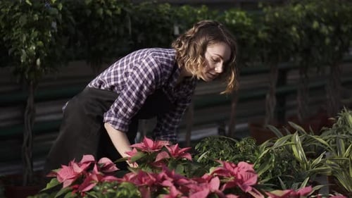 Woman Gardening With Plants in a Tropical Greenhouse