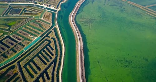 Asphalt Road Divides Lagoon with Algal Bloom and Polders