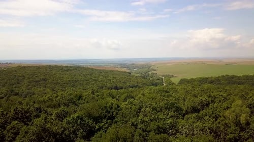 Aerial view of green summer forest with many fresh trees and rural farm fields.