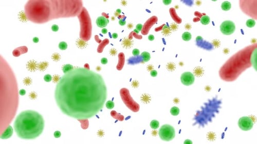 Microbiome Body Healthy Food Human Health Microbes in the Human Gut Bacteria