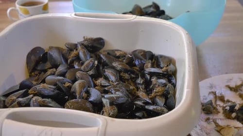 Fresh Black Mussels in a Basin for Cooking