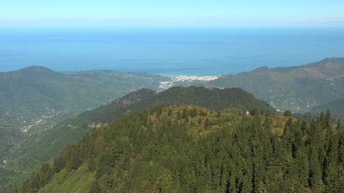 Small City Houses Between the Sea and Forested Mountains