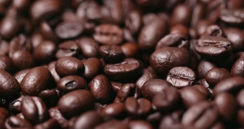 Roasted coffee bean
