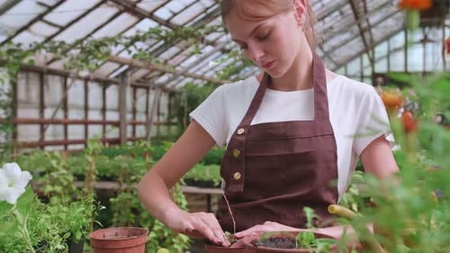 Young Woman Gardening in a Tropical Greenhouse