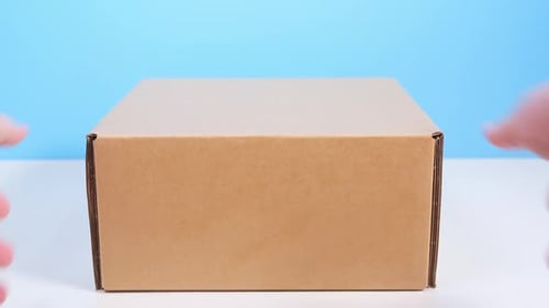 Simple Brown Cardboard Box on White Surface