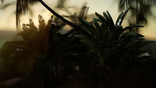 Coco Palm Trees Tropical Landscape
